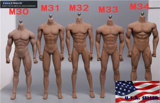 Tbleague 1/6 Steel Skeleton Male Muscular Seamless Figure Body ❶usa❶
