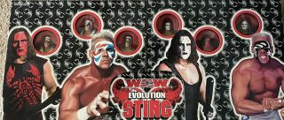 The Evolution Of Sting Wcw Box Set