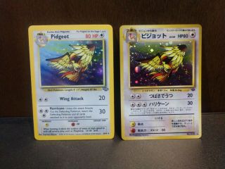 Pidgeot English & Japanese Pokemon Holo Card Jungle Set Both