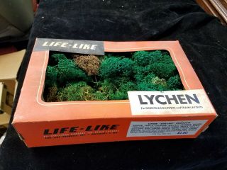 Vintage Open Box Of Life - Like Model Train Lychen