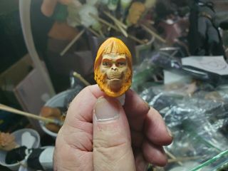 Custom Mego Compatible Planet Of The Apes Dr.  Zaius 8 Inch Scale Painted Head