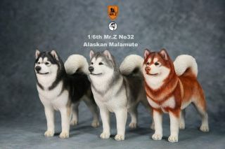 1/6 Scale Mr.  Z No.  032 Alaskan Malamute Dog Animal Model Toy Collectible