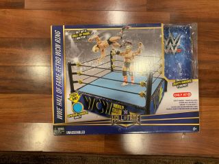 Mattel Wwe Hall Of Fame Retro Wcw Ring No Dusty Rhodes