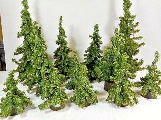 G Scale Scenery Pine Trees (12) Total 2