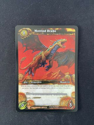 World Of Warcraft Tcg Mottled Drake Loot Card - Scratched