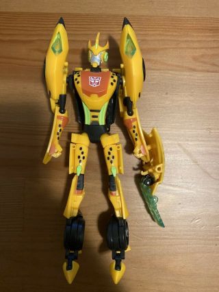 Transformers Hasbro Tfcc Collector 