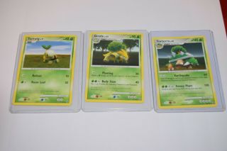 Turtwig Grotle Torterra 30/100 Pokemon Dp Majestic Dawn Card Owner Nm