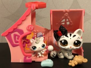 Authentic Littlest Pet Shop 3585 3586 Mommy Baby Crouching Tiger Cat Kitten