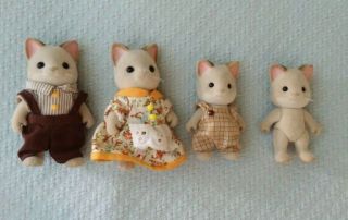 Calico Critter Keats Cat Sylvanian Family Vintage Htf Kitty Dolls Figures