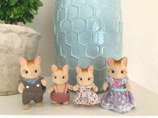 Calico Critters Sylvanian Families Retired Ginger Cat Cats Vintage Family Set