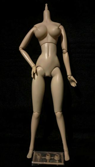 Volks Dollfie Eb Beauty F - Type 1/6 Scale Action Figure Doll Body Large Soft Bust