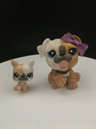 Littlest Pet Shop Lps Mommy And Baby Bulldog Dog Authentic 3587 3588