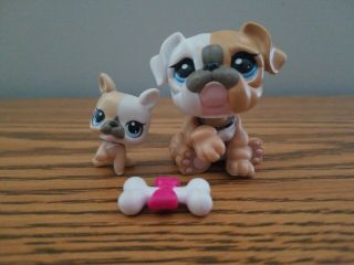 Littlest Pet Shop Lps Mommy And Baby Bulldog Dog Authentic 3587 3588