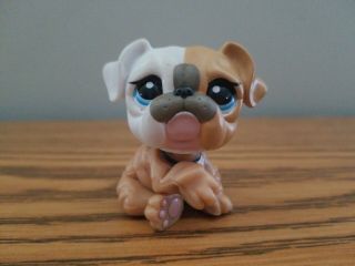 LITTLEST PET SHOP LPS Mommy and Baby Bulldog Dog AUTHENTIC 3587 3588 2