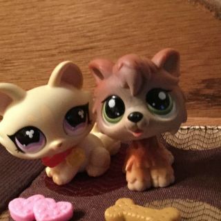 Rare Littlest Pet Shop Authentic 2141 Brown Tan Timber Wolf Dog Green Eyes