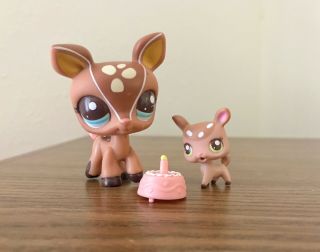 Authentic Littlest Pet Shop Lps - Mommy And Baby Deer 2499 & 2500 With Cake