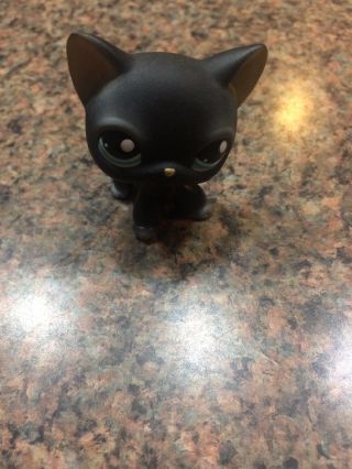 Littlest Pet Shop Authentic Black Short Hair Cat 994