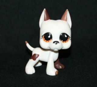 Authentic Littlest Pet Shop Great Dane 750 White Brown Dog Orange Tear Eyes