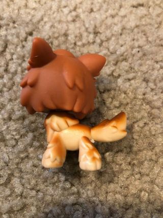 Littlest Pet Shop Authentic 2141 Brown Tan Timber Wolf Green Eyes 3