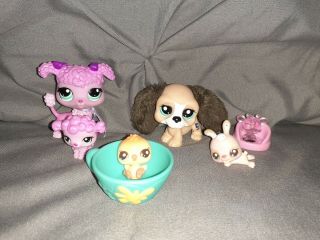 Littlest Pet Shop Pink Poodle & Baby Basset Hound Fuzzy Ears Chick Bunny