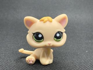 Littlest Pet Shop Authentic Lps 1128 Cream Yellow Baby Kitten Green Eyes