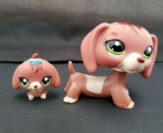 Littlest Pet Shop Lps Rare Mommy And Baby Set Dachshund Dog 3601 3602 Authentic