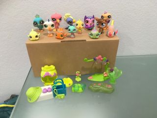 Tropical Set Of Littlest Pet Shop,  Lps Toys,  Contains Accessories And 14 Pets