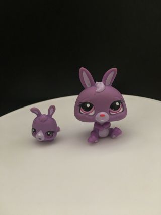 Littlest Pet Shop Lps Mommy And Baby Set Purple Rabbit Bunny 3591 3592