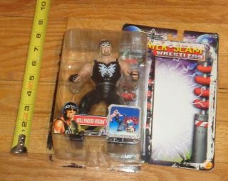 2000 Wcw Nwo Toy Biz Hulk Hogan Wrestling Figure Power Slam Small Box Wwe