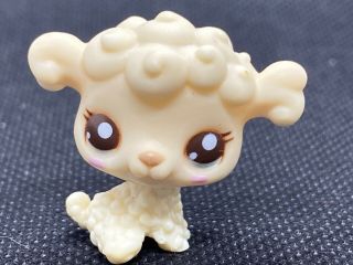 Littlest Pet Shop Authentic Lps 2628 Baby Cutest Poodle Lamb Sheep