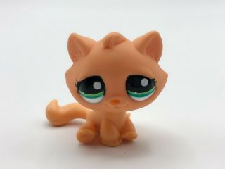 Authentic Hasbro Littlest Pet Shop Lps Orange Tabby Cat Kitten 2603