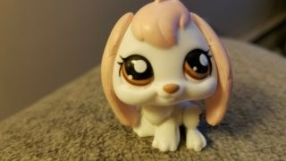 Littlest Pet Shop 1746 Bunny Rabbit Lop Ears White Pink Brown Dot Eyes