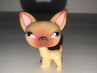 Littlest Pet Shop Chihuahua Puppy Dog 1 Pink Magnet First Generation Lps
