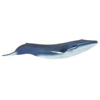Saf223229 Safari Ltd Blue Whale Wild Safari Sea L Ife