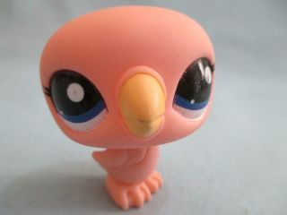 Littlest Pet Shop 2594 Pink Puffin Bird With Blue Eyes Authentic