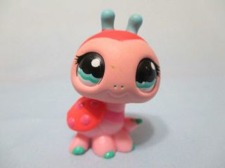 Littlest Pet Shop Pink Teal Baby Ladybug Blue Eyes 1143 Authentic Lps