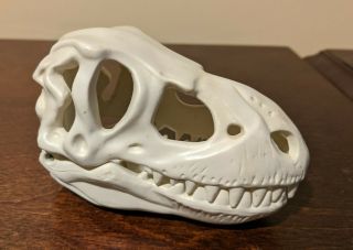 Vintage 1988 Kenner Bone Age Dinosaur Building T - Rex Tyrannosaurus Skull