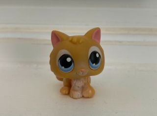 Hasbro Littlest Pet Shop Lps Orange Kitten 47 Blue Eyes Rare Cat Kitty Tail