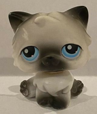Littlest Pet Shop Black And White Persian Cat Blue Eyes 60