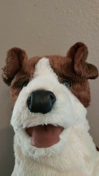 Authentic Folkmanis Jack Russell Terrier Dog Plush Puppy - Hand Puppet 13 Inches