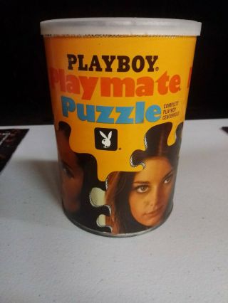 Rare Vtg Playboy Playmate Centerfold Puzzle 1968 Complete Ap115 Jennifer Liano