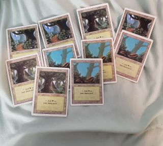 20x Revised Forests Assorted Played 3rd Edition Mtg Magic Forest 20