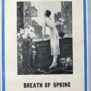 Vtg 30s Jigsaw Perfect Picture Puzzle " Breath Of Spring " Woman 1216
