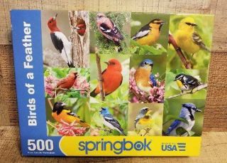 Springbox Jigsaw Puzzle 500 Piece Birds Of A Feather Complete