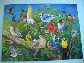 Birds Eye View Buffalo Jigsaw Puzzle1000 Pc Hautman Brothers Complete W/ Poster