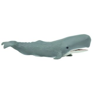 Saf275529 Safari Ltd Sperm Whale Wild Safari Sea Life