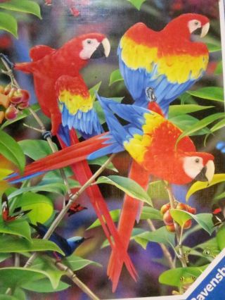 Ravensburger Puzzle Parrot Paradise Colorful Nature 500 Piece 18 X 24