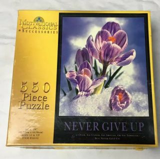 Motivational Classics By Successories 550 Piece Jigsaw Puzzle “never Give Up”
