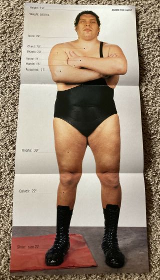 Vintage Vtg Wwe Wwf Wcw Poster Andre The Giant Big Show Rare Wrestling Posters