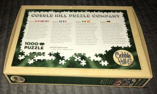 Cobble Hill On The Beat by Dan Hatala & Meikle John Graphics 1000 Piece Puzzle 3
